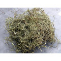 White Willow Bark Extract 15% 98% Salicin